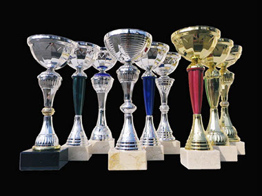 lots de coupes de tailles moyennes avec plaquettes personnalisables 