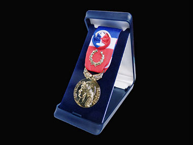 Medaille du travail GRAND OR soit&nbsp; plus de 40 ans avec coffret et presentaoire.&nbsp; 